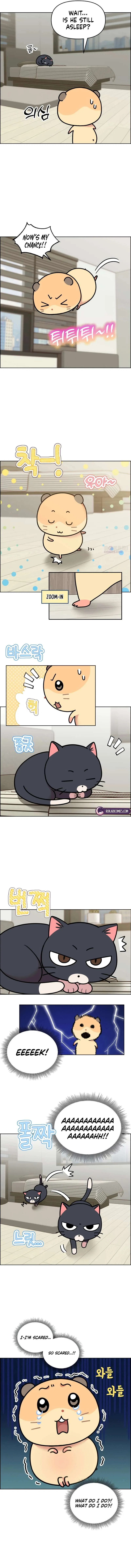 Meow Meow Squeak Squeak! Chapter 50 – Page 4