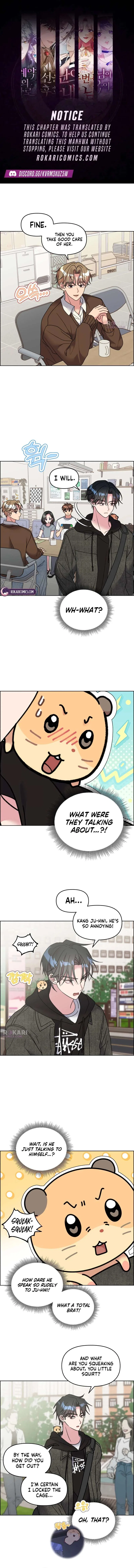 Meow Meow Squeak Squeak! Chapter 43 – Page 1