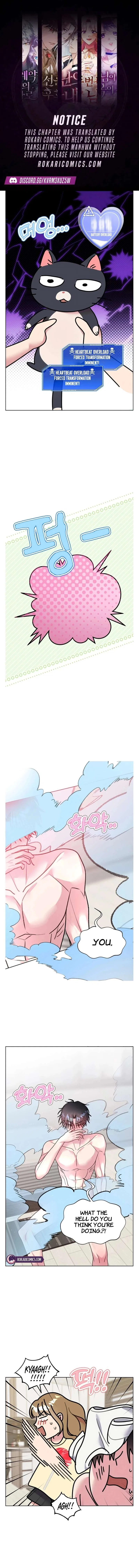 Meow Meow Squeak Squeak! Chapter 35 – Page 1