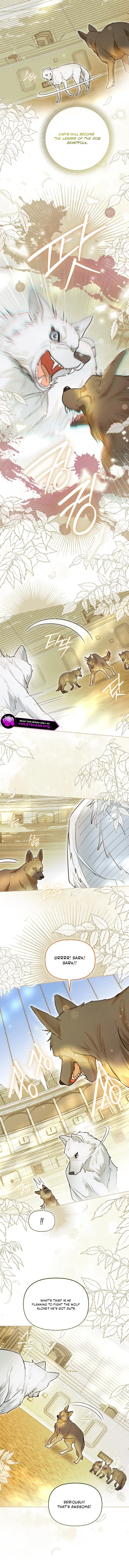 Even Though I Transmigrated as a Villainess, I’d Rather Raise a Cat Chapter 89 – Page 9