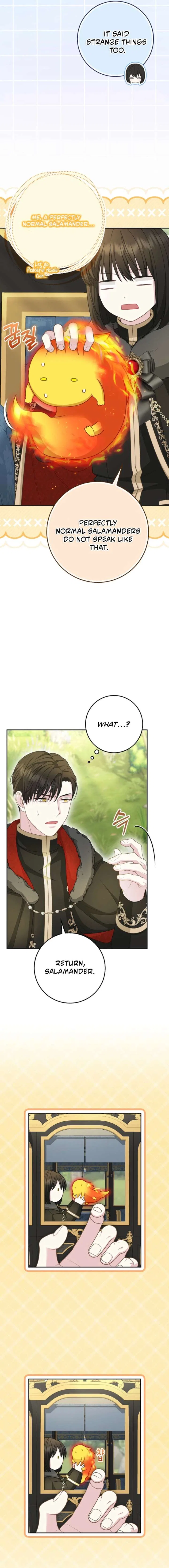 Baby Snow Leopard of the Black Leopard Family Chapter 66 – Page 13