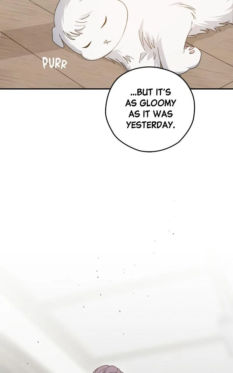 Summer Moon: The Q-Freeze Chapter 37 – Page 91