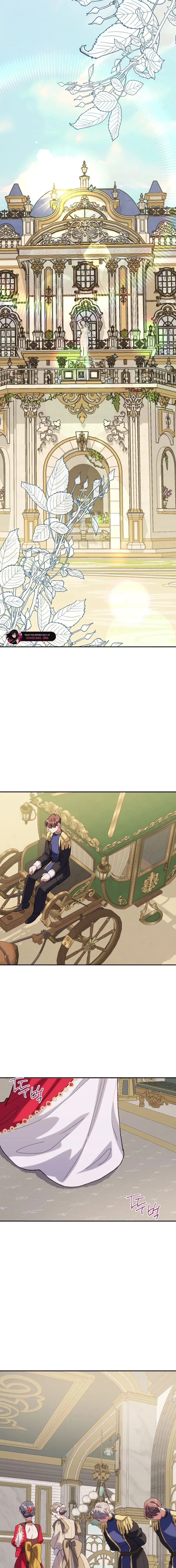 The Reason for Avoiding Him, the Perfect One Chapter 49 – Page 14