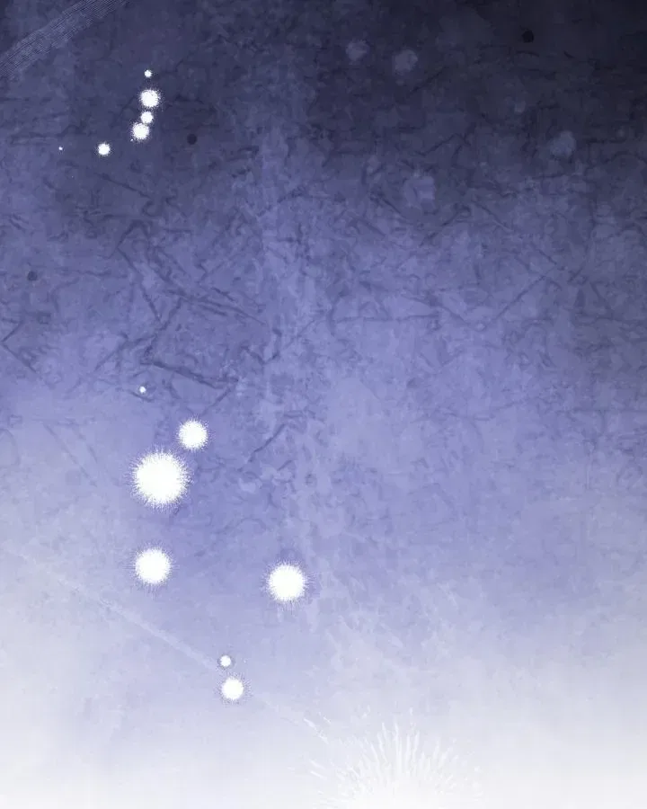 The Cursed Princess Must Rewind the Clock Chapter 57 – Page 47