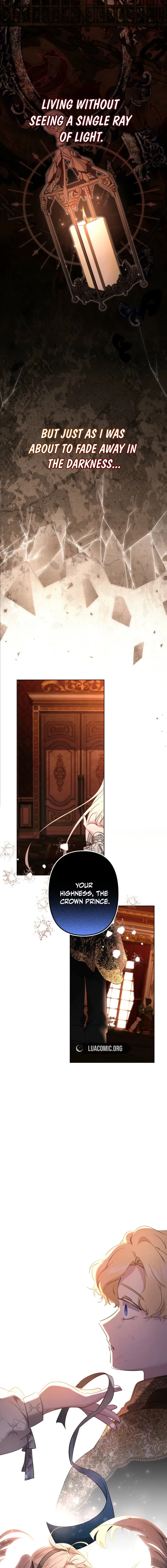 I Need to Raise My Sister Properly Chapter 141 – Page 3
