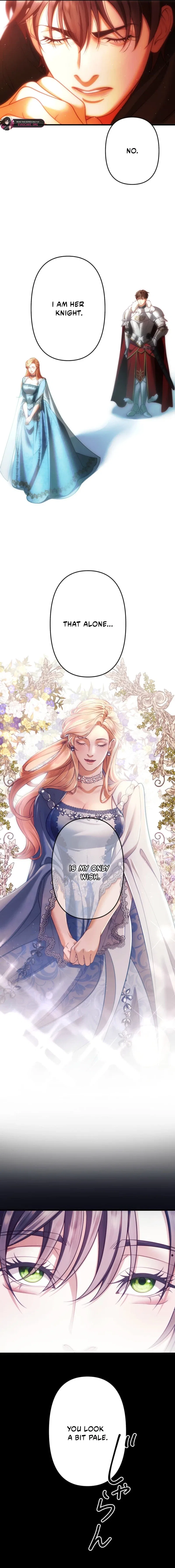 A Widowed Queen’s Devotion For Love Chapter 29 – Page 17