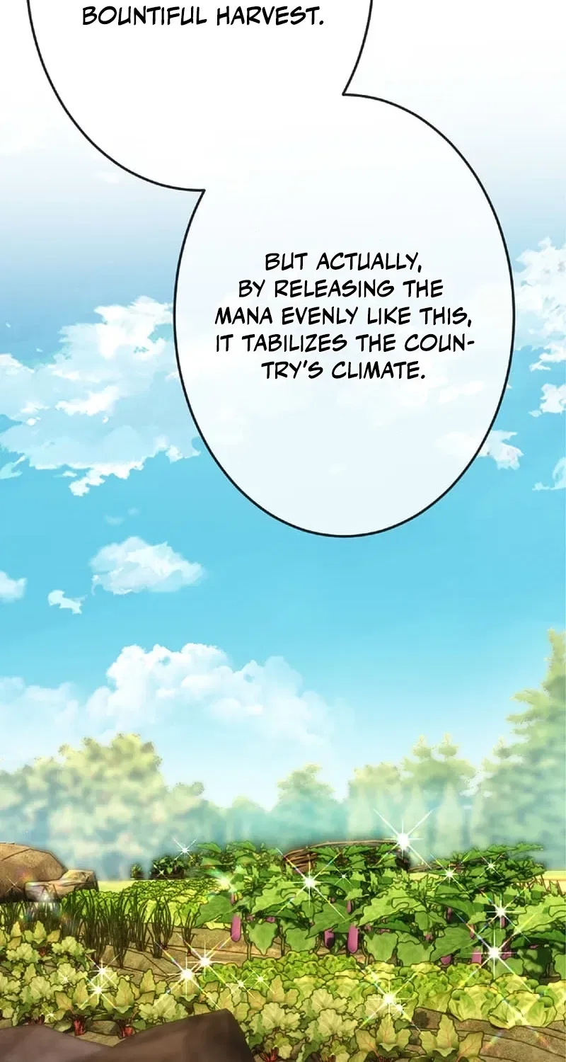 The Genius Court Mage Who Quit Being a Corporate Slave Dreaming of a Slow Life in the Frontier, but Ends Up Known as the Witch of the Edge Chapter 26 – Page 7