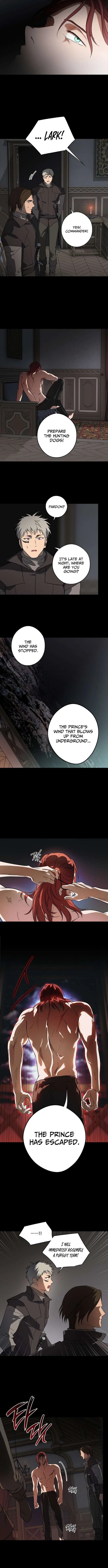 Blinded by the Setting Sun Chapter 216 – Page 8