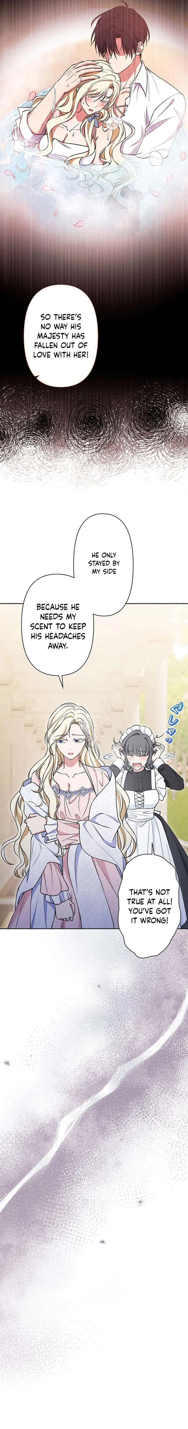 The Enemy King’s Substitute Bride Chapter 36 – Page 18