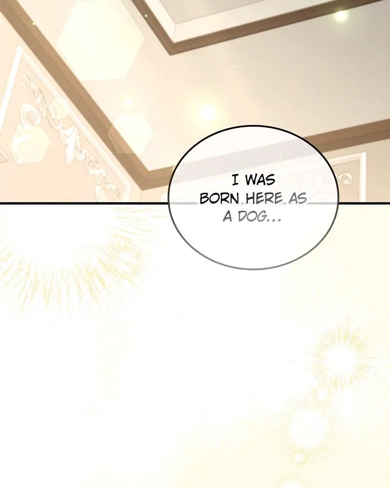 The Emperor’s Puppy Chapter 62 – Page 135