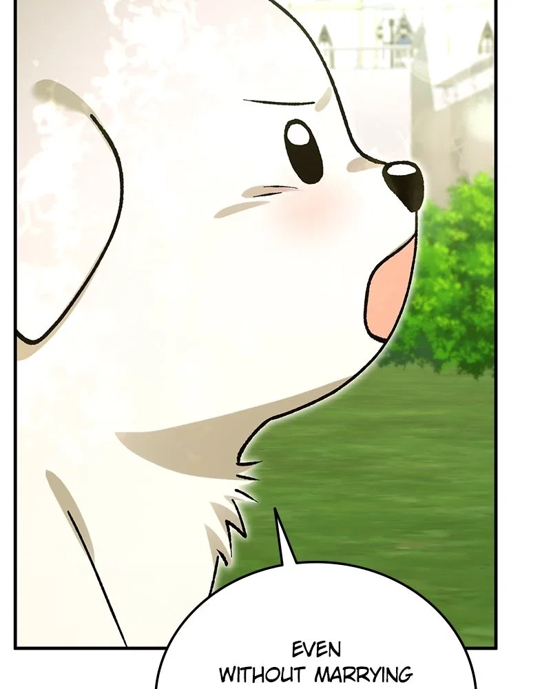 The Emperor’s Puppy Chapter 55 – Page 27