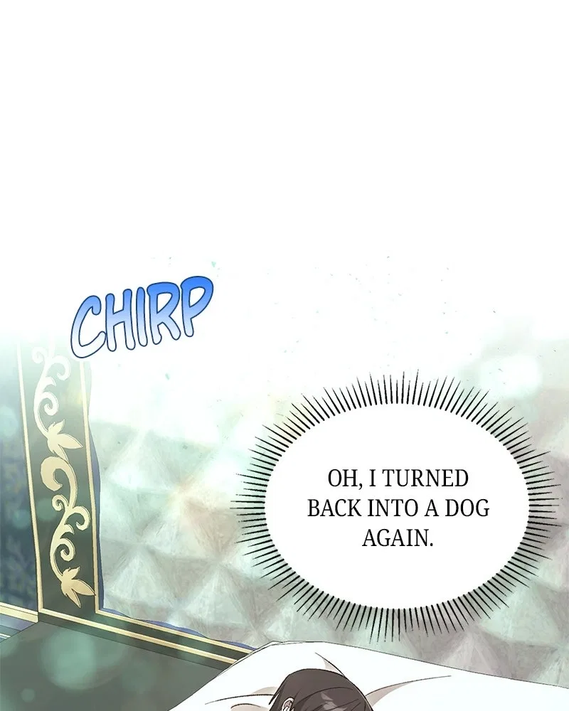 The Emperor’s Puppy Chapter 54 – Page 150