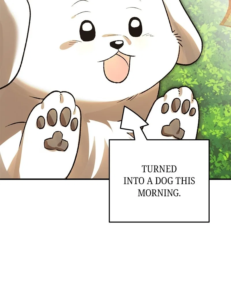 The Emperor’s Puppy Chapter 52 – Page 73