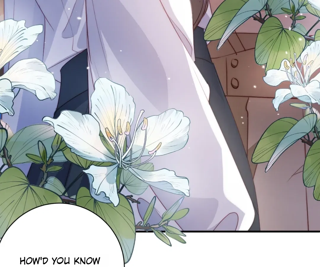 Chief’s Cute Baby: Buy One Get One Free Chapter 42 – Page 20