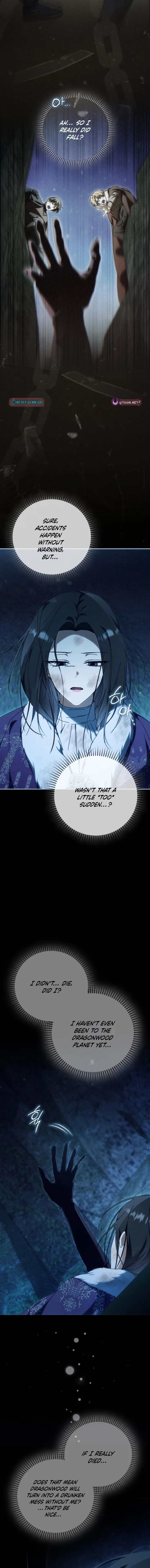 My Husband Is My Ultimate Bias, but I Think He Wants a Divorce Chapter 39 – Page 2