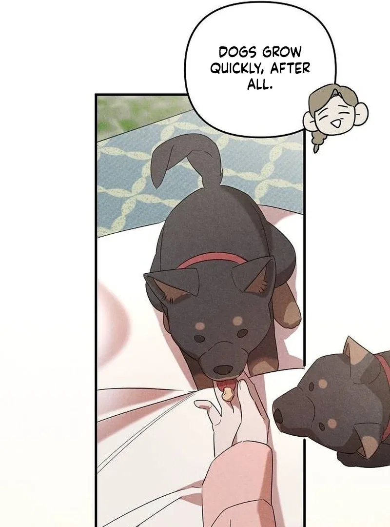 Where the Golden Rose Was Plucked Chapter 25 – Page 26