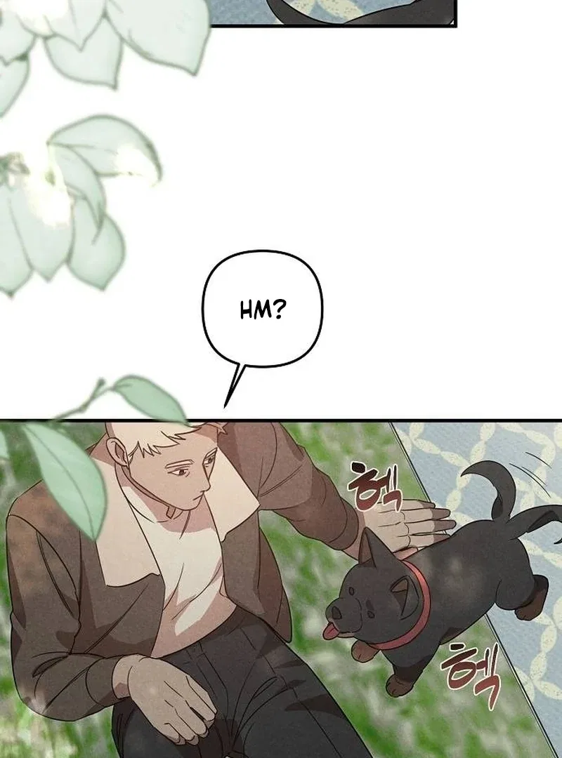 Where the Golden Rose Was Plucked Chapter 25 – Page 75
