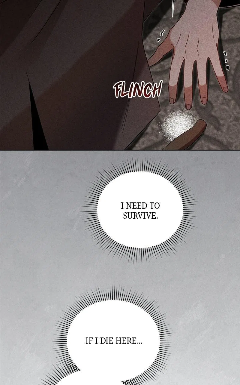 Where the Golden Rose Was Plucked Chapter 21 – Page 64