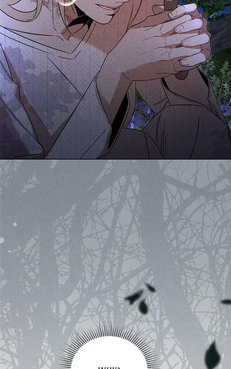 Where the Golden Rose Was Plucked Chapter 21 – Page 93