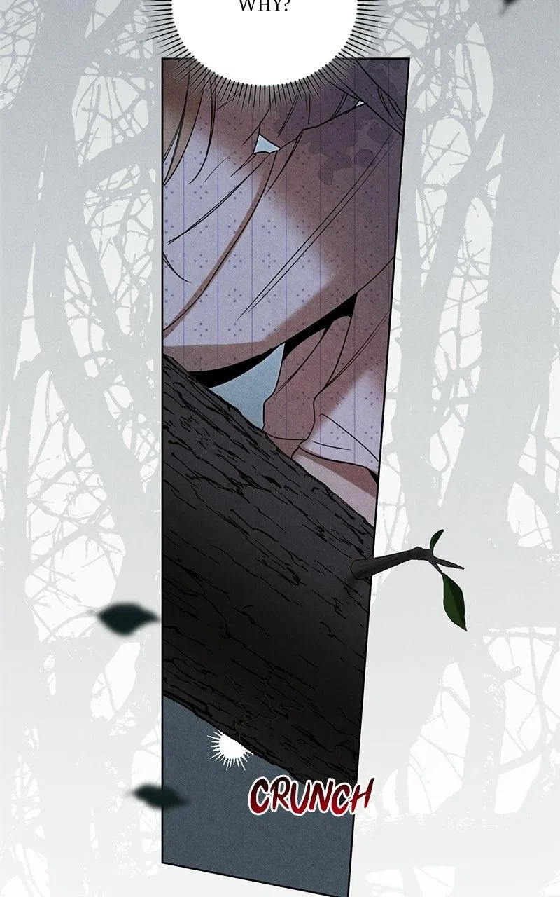 Where the Golden Rose Was Plucked Chapter 21 – Page 94
