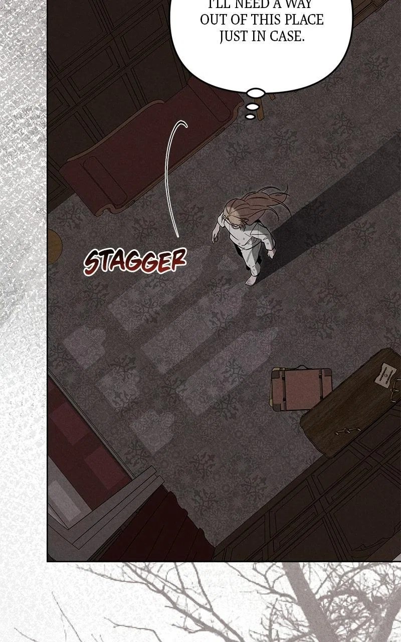Where the Golden Rose Was Plucked Chapter 20 – Page 17