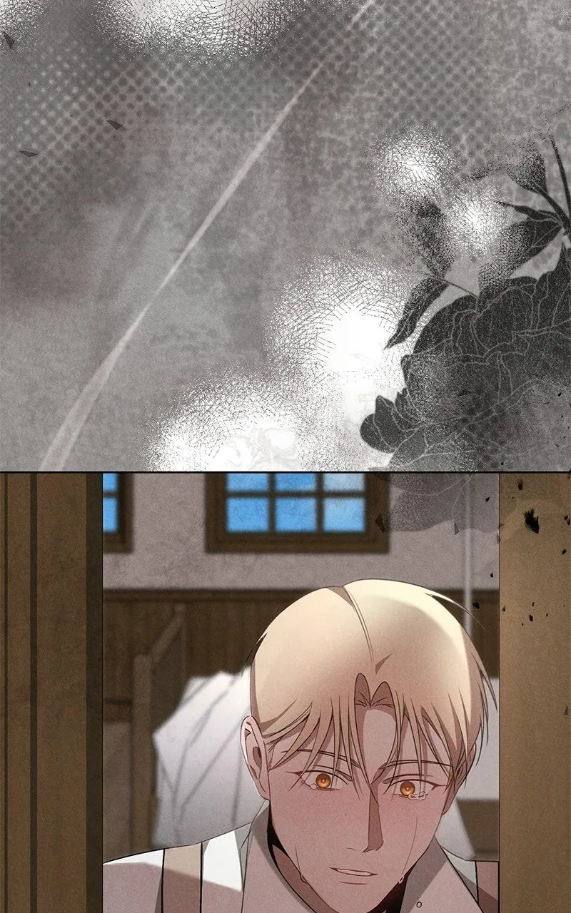 Where the Golden Rose Was Plucked Chapter 19 – Page 39