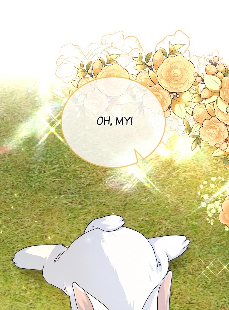 My Doting Husband Love Chapter 42 – Page 66