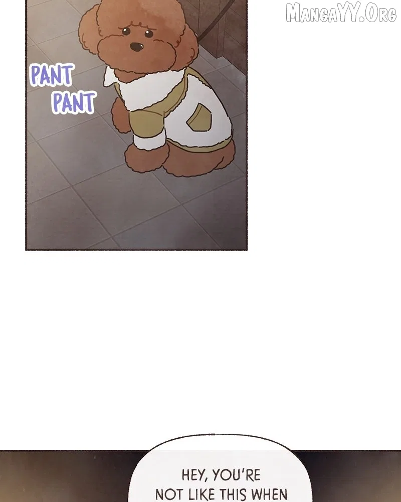 Emotional Transference Chapter 65 – Page 42