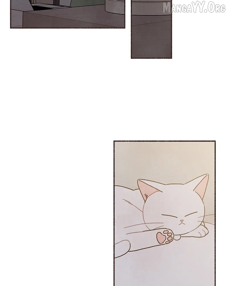 Emotional Transference Chapter 55 – Page 2