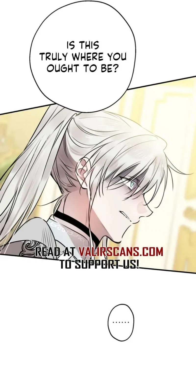 The Most Powerful Characters in the World Are Obsessed with Me Chapter 155 – Page 41