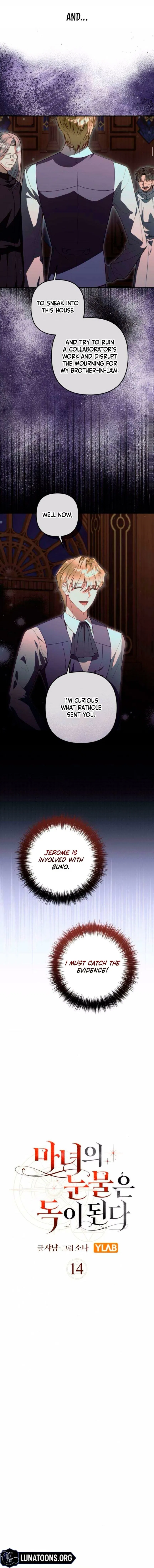 The Witch’s Tears Become Poison Chapter 14 – Page 4