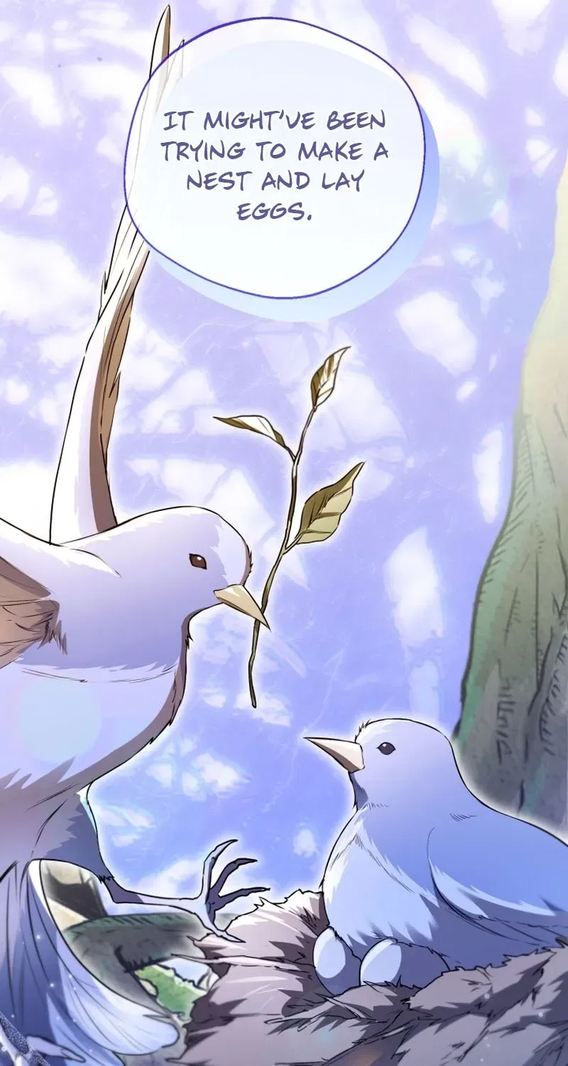I’m Stuck on a Remote Island With the Male Leads Chapter 41 – Page 42