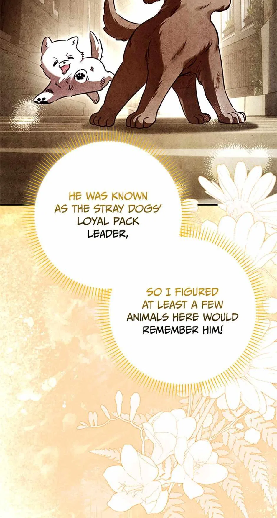 Pawprints on Her Heart Chapter 19 – Page 13