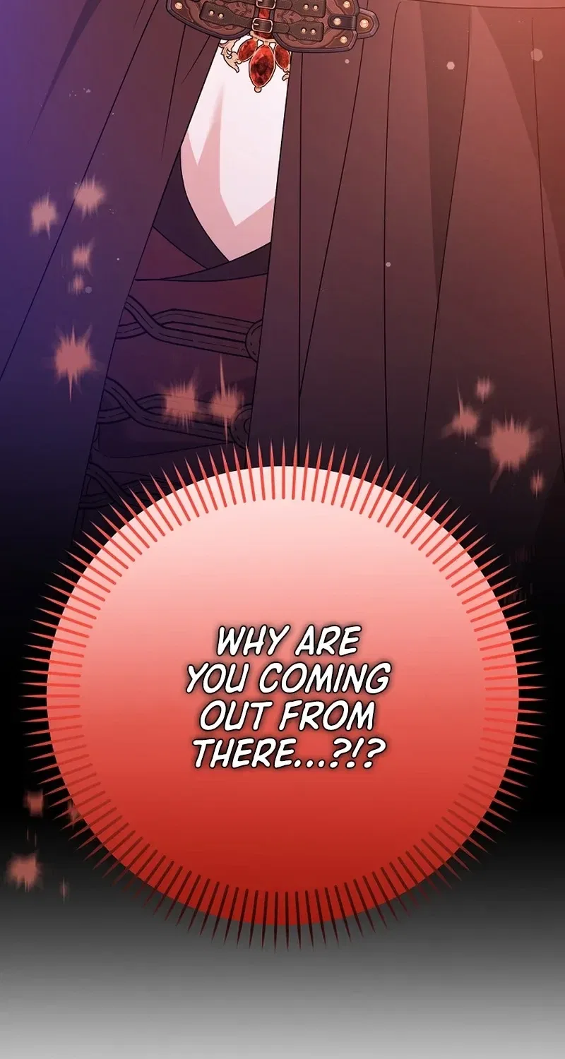 Stop Obsessing, Just Divorce Me! Chapter 35 – Page 5