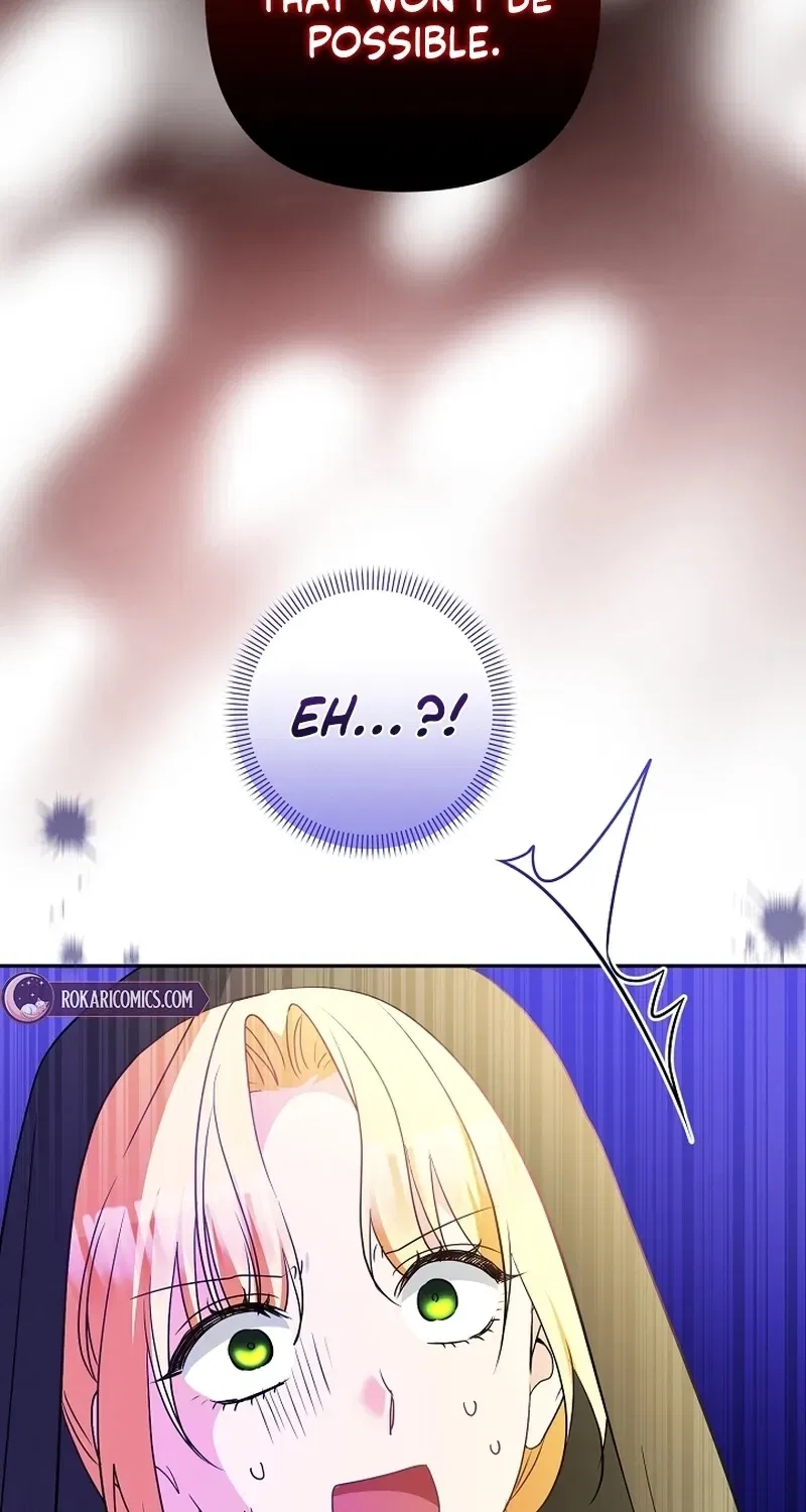 Stop Obsessing, Just Divorce Me! Chapter 34 – Page 95