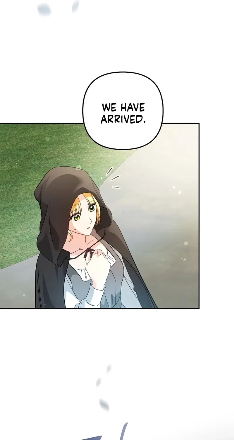 Stop Obsessing, Just Divorce Me! Chapter 32 – Page 75