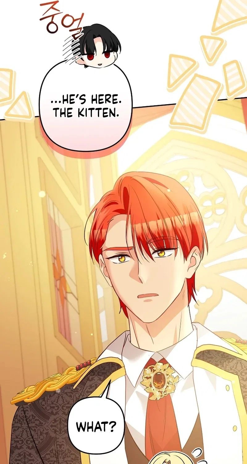 Stop Obsessing, Just Divorce Me! Chapter 31 – Page 68