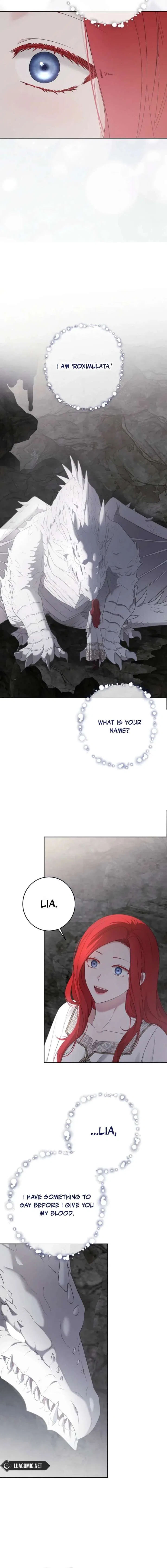 It Looks Like I’Ve Fallen Into The World Of A Reverse Harem Game Chapter 177 – Page 8