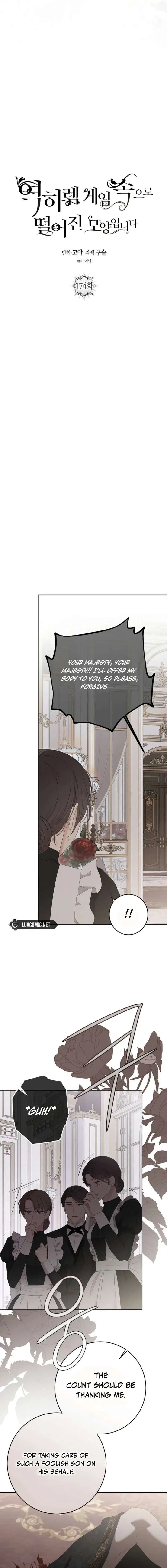 It Looks Like I’Ve Fallen Into The World Of A Reverse Harem Game Chapter 174 – Page 5