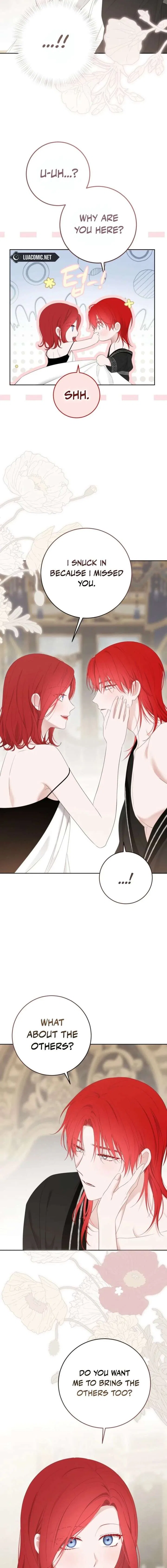 It Looks Like I’Ve Fallen Into The World Of A Reverse Harem Game Chapter 172 – Page 2