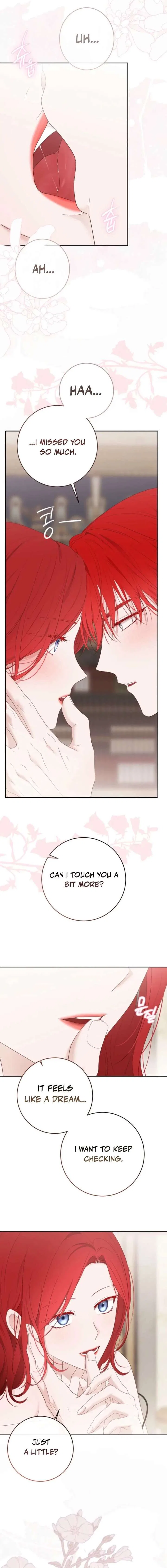 It Looks Like I’Ve Fallen Into The World Of A Reverse Harem Game Chapter 172 – Page 4