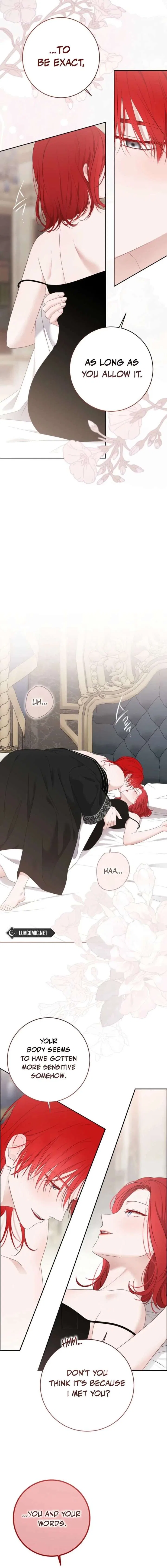 It Looks Like I’Ve Fallen Into The World Of A Reverse Harem Game Chapter 172 – Page 5