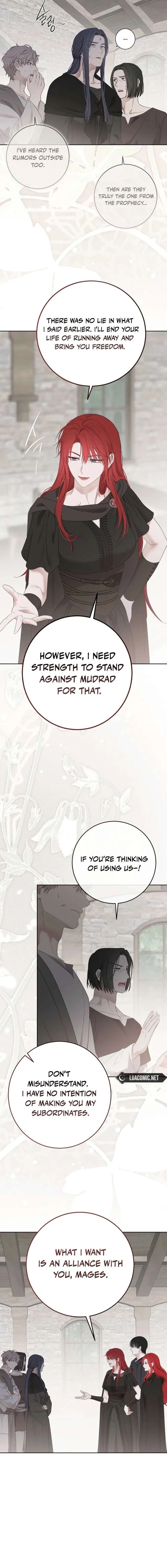 It Looks Like I’Ve Fallen Into The World Of A Reverse Harem Game Chapter 171 – Page 11