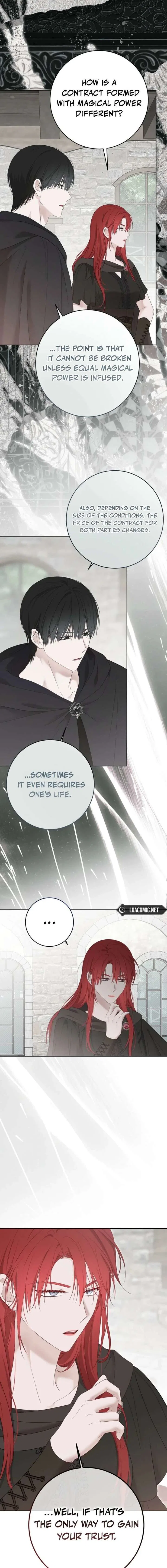 It Looks Like I’Ve Fallen Into The World Of A Reverse Harem Game Chapter 171 – Page 13