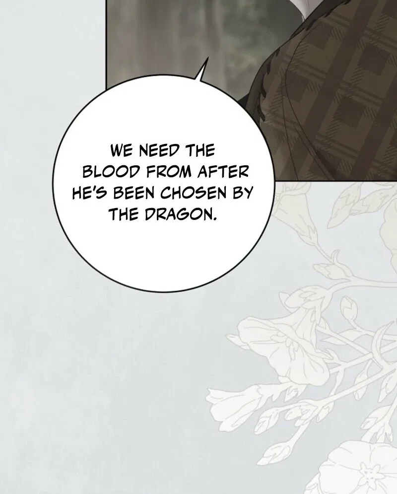 It Looks Like I’Ve Fallen Into The World Of A Reverse Harem Game Chapter 162 – Page 55