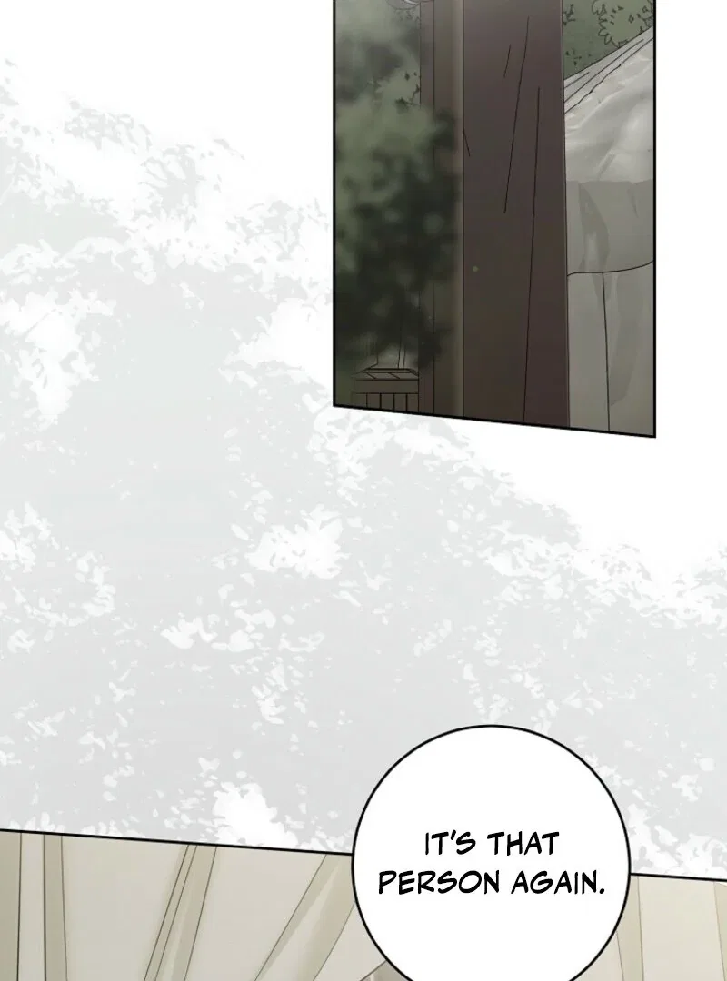 It Looks Like I’Ve Fallen Into The World Of A Reverse Harem Game Chapter 162 – Page 121