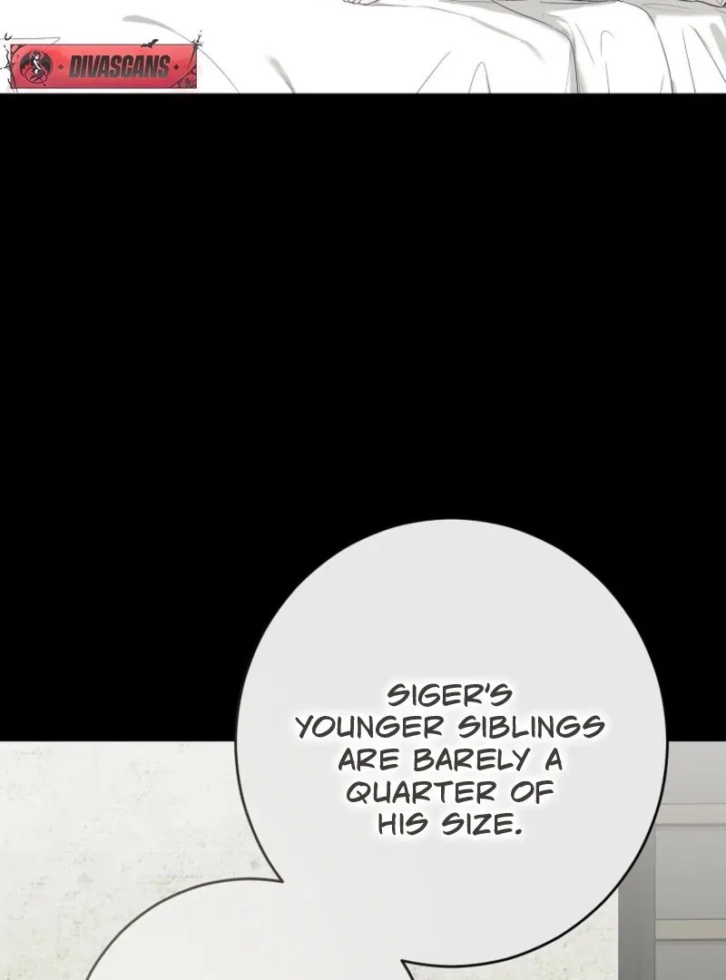 It Looks Like I’Ve Fallen Into The World Of A Reverse Harem Game Chapter 161 – Page 15