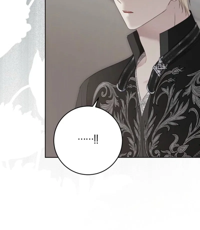 It Looks Like I’Ve Fallen Into The World Of A Reverse Harem Game Chapter 161 – Page 74