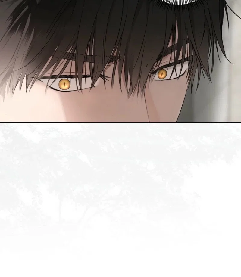 It Looks Like I’Ve Fallen Into The World Of A Reverse Harem Game Chapter 159 – Page 42