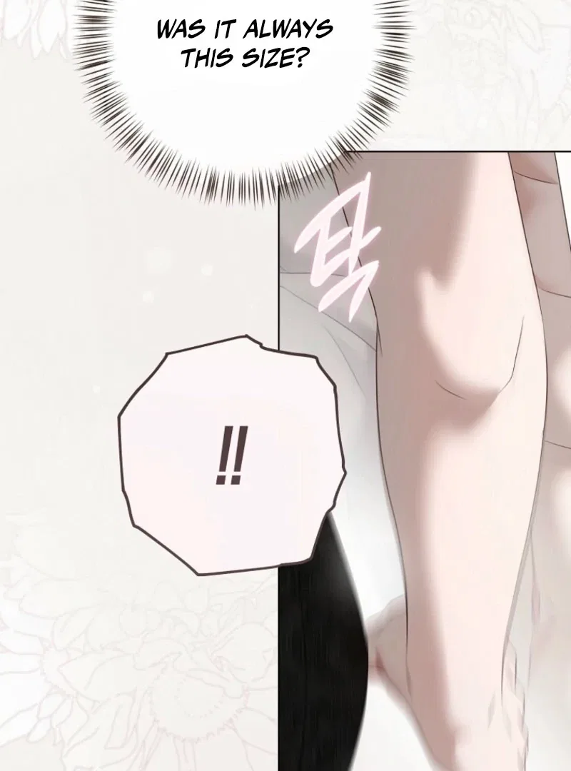 It Looks Like I’Ve Fallen Into The World Of A Reverse Harem Game Chapter 158 – Page 70